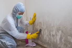 Best Forensic Mold Investigation  in Good Hope, CA